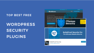 Wordpress Security Plugins for E-Commerce Websites